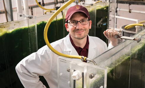 Weiss Research Lab at the Arizona Center for Algae Technology and Innovation (AzCATI)